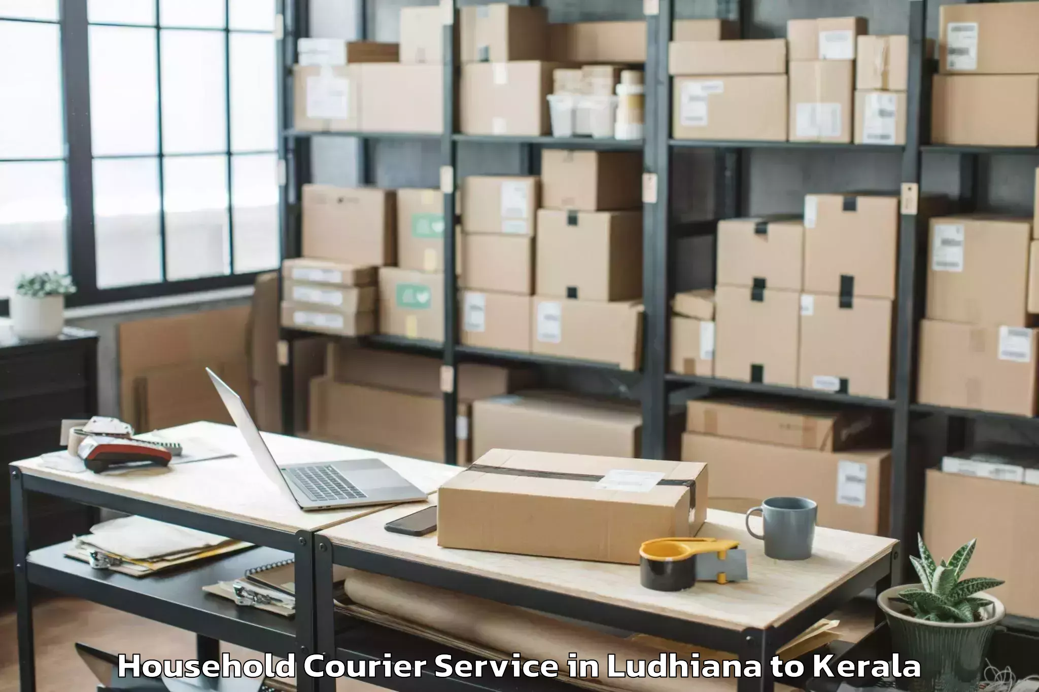 Trusted Ludhiana to Kadanad Household Courier